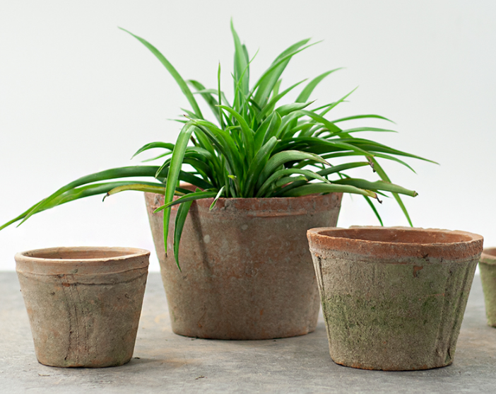 Aged clay plant pot - 16cm. TYFFI HOME