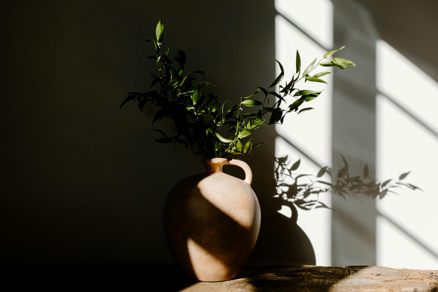 Vase with greenery on a surface with sunlight casting shadows