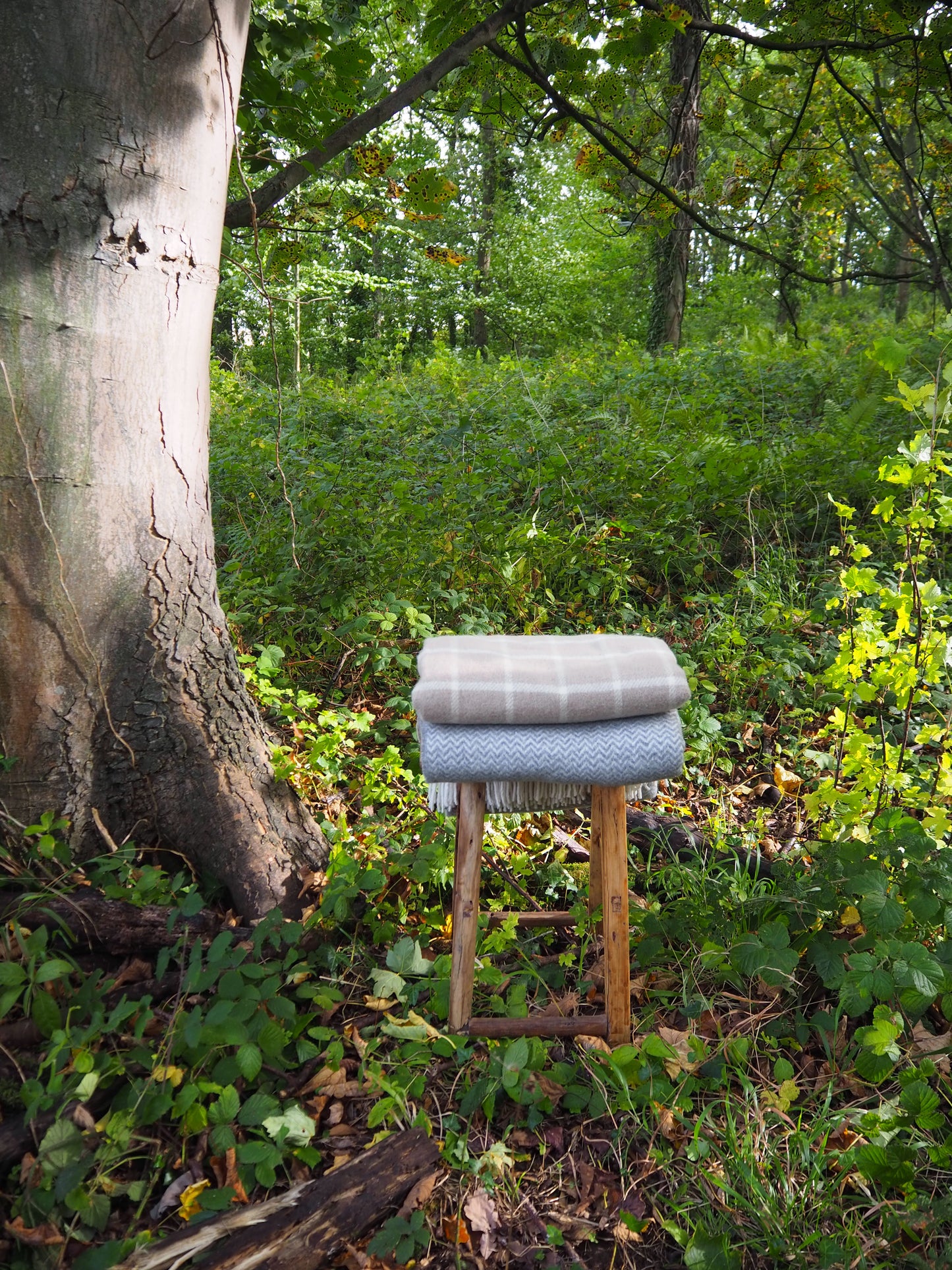 Stack of folded blankets on a wooden stool in a forest setting