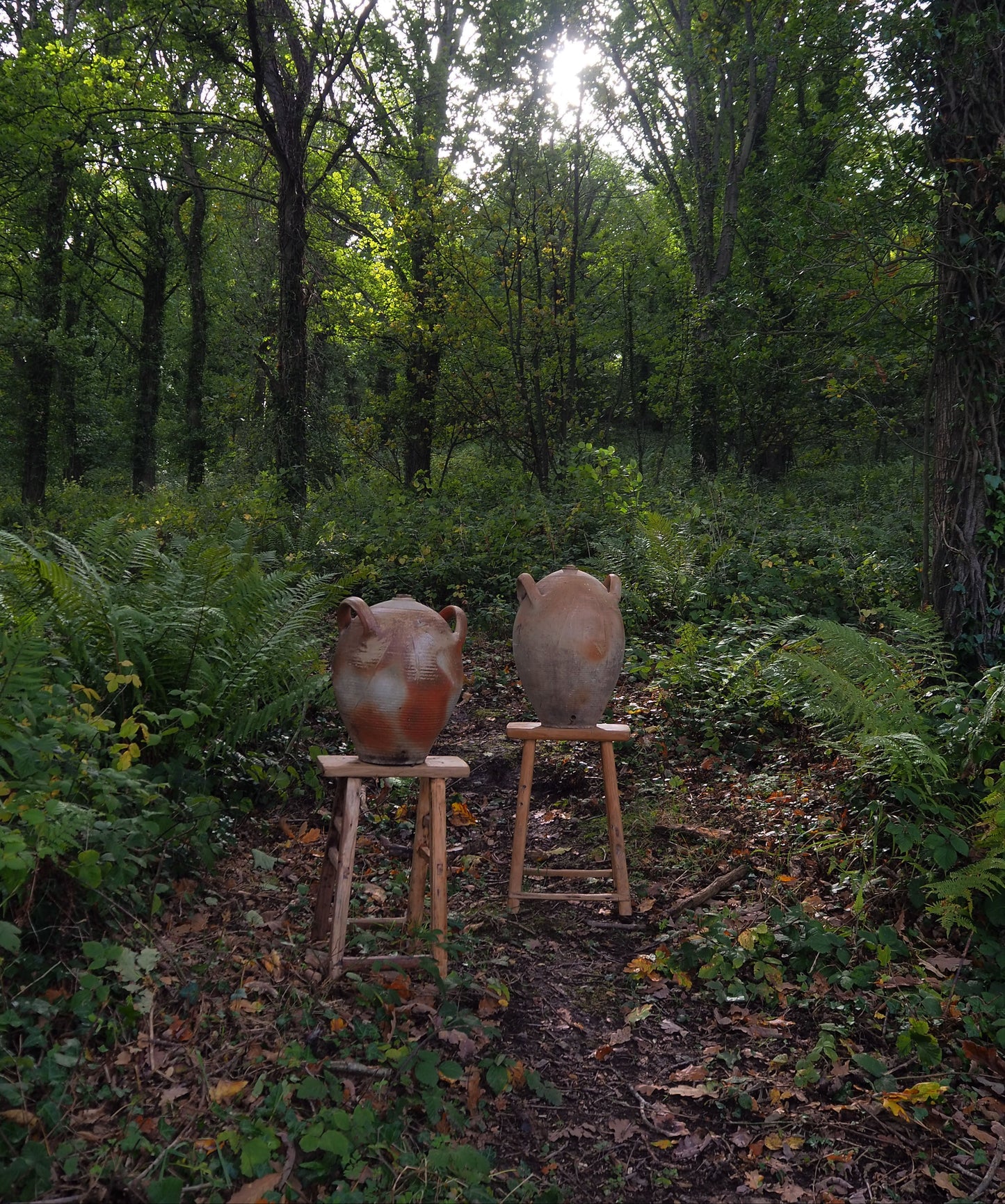 Two antique french vesseles on elm stools in a forest setting
