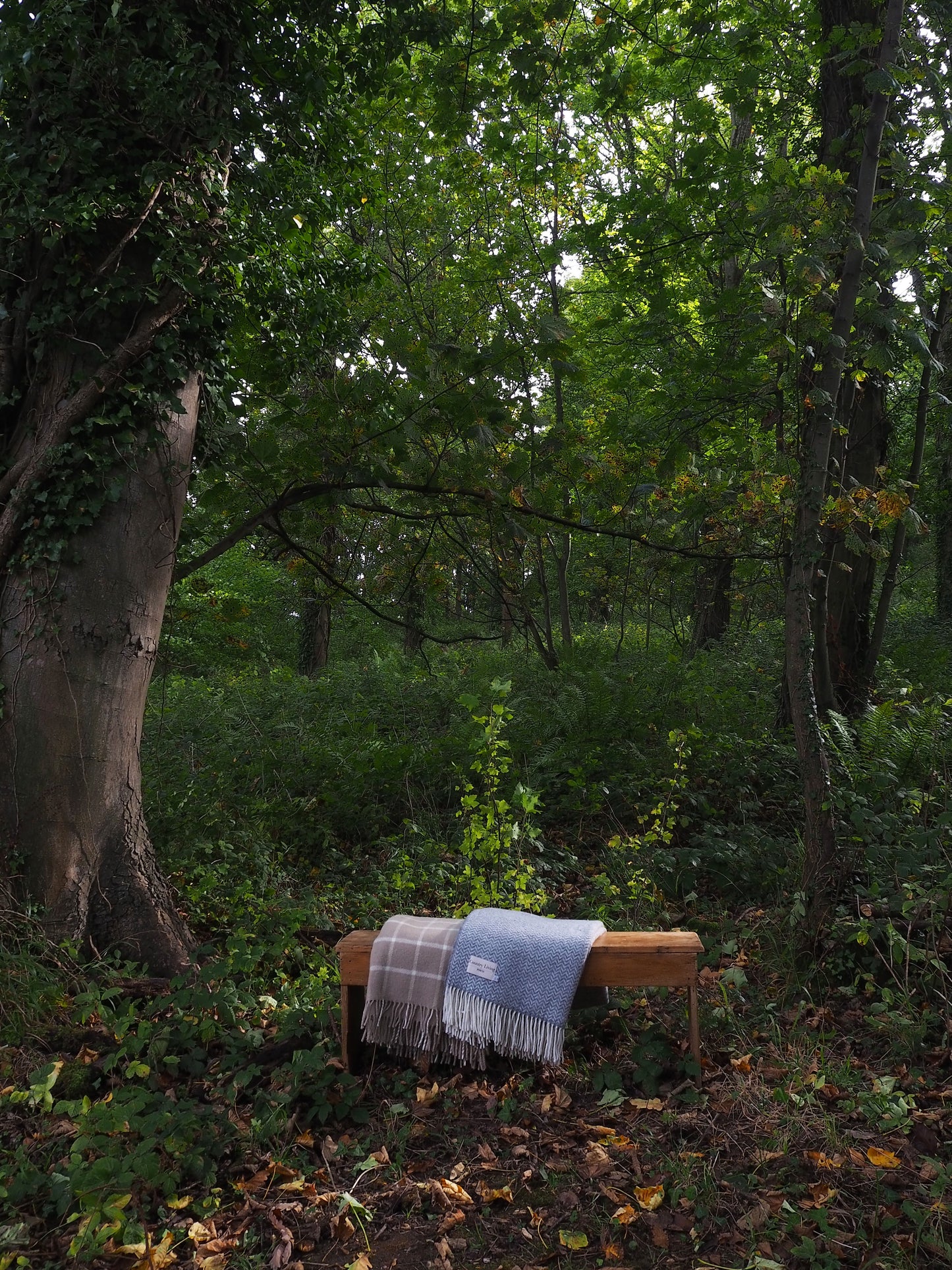 Wooden bench with a blanket draped over it in a forest setting