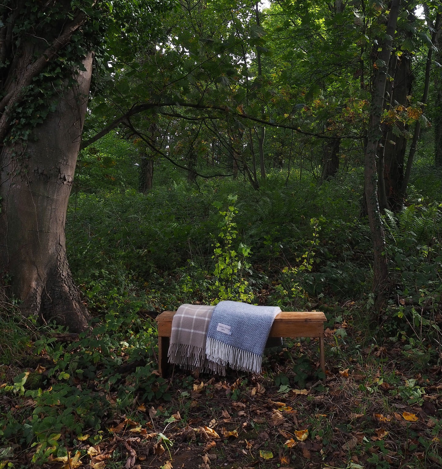 Wooden bench with a blanket draped over it in a forest setting