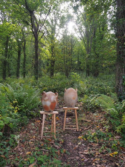 Vessels and vintage elm stools stood in a forest 