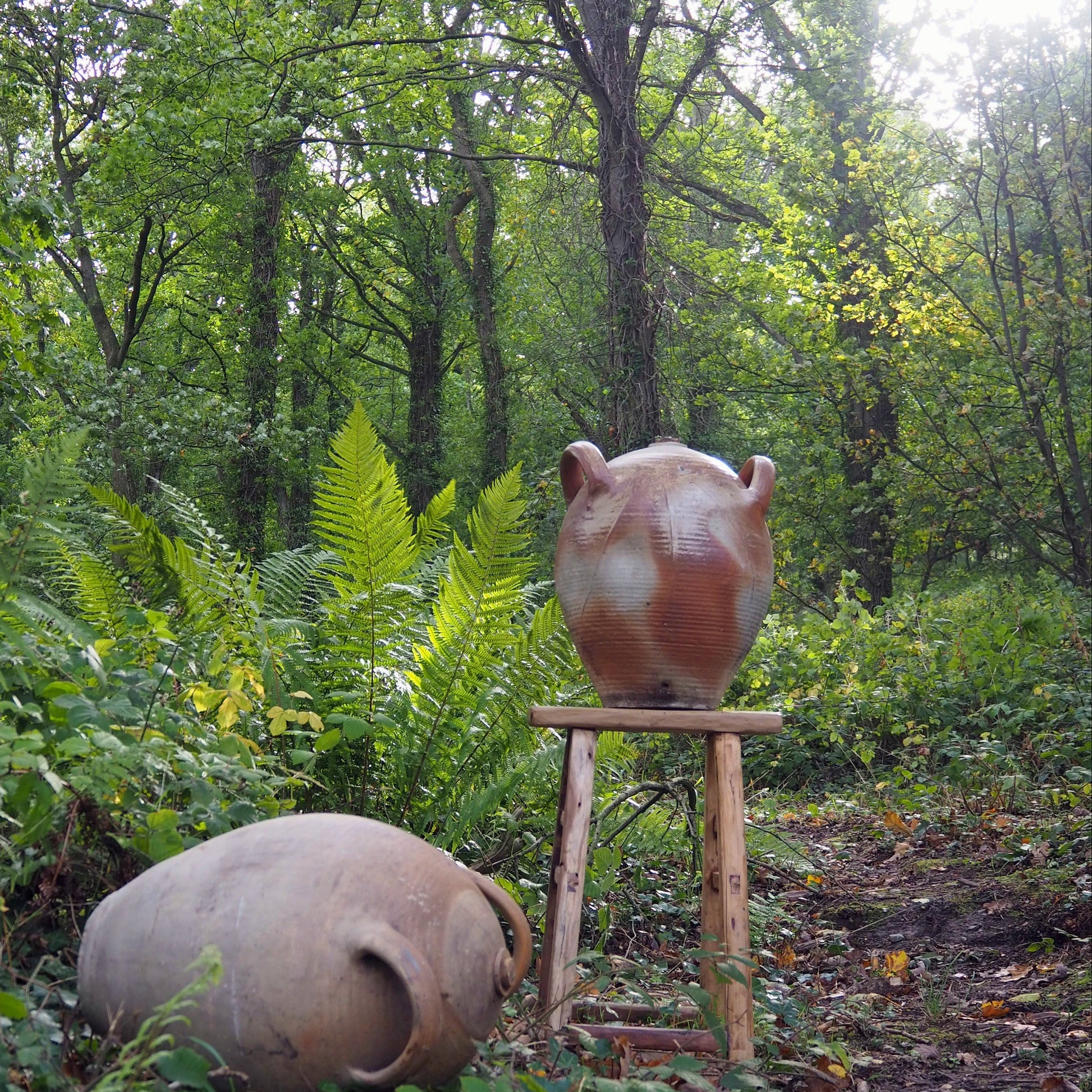 Two large ceramic pots in a forest setting
