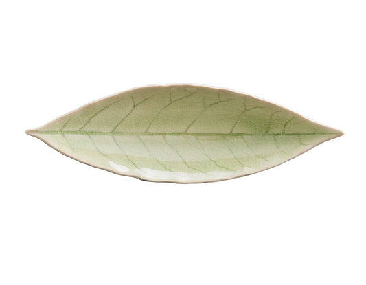 RIVIERA | Vert Frais Laurel Leaf | 18cm