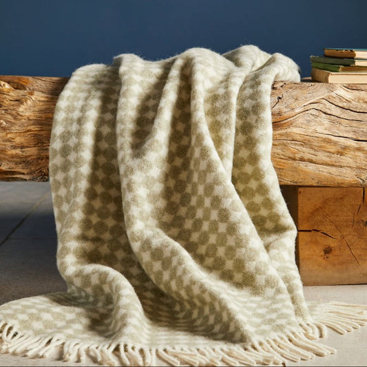 Sage green checkered blanket draped over a wooden bench against a blue sky.