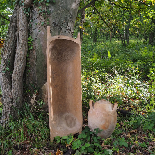 Wooden trough and vintage pot leaning against a tree in a forest setting